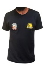 Camiseta Passeio Arapongas Golden Phoenix